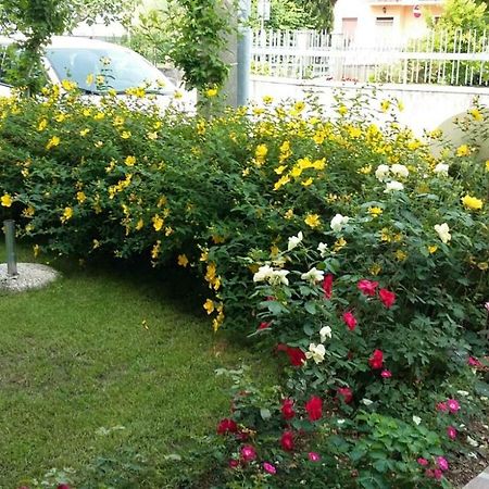 Casa Nanny Apartment มอนซามบาโน ภายนอก รูปภาพ